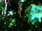 A photo of the mineral atacamite