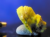 A photo of the mineral autunite