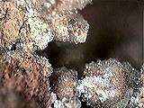 A photo of the mineral chlorargyrite