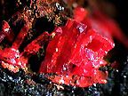 A photo of the mineral crocoite