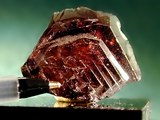 A photo of the mineral ferroAuxinite